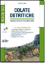 BRUSCHI ALBERTO, Colate detritiche - software -