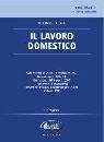 LATILLA - LULLI, Il lavoro domestico