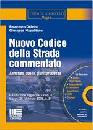 DELVINO - NAPOLITANO, Nuovo codice della strada commentato