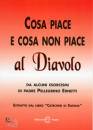 ERNETTI PELLEGRINO, Cosa piace e cosa non piace al diavolo