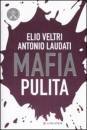 LAUDATI-VELTRI, Mafia pulita