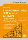 PELLICCIA LUIGI, Il nuovo Testo Unico di Sicurezza sul lavoro