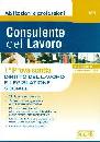 AA.VV., Consulente del lavoro, 1 prova scritta