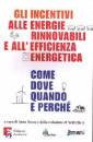 BRUNO ANNA, Gli incentivi alle energie rinnovabili