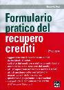 LUZZI GIAMPAOLO, Formulario pratico del recupero crediti