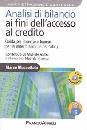 immagine di Analisi di bilancio ai fini accesso al credito