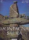 RIES JULIEN (CUR.), montagna sacra