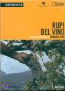 OLMI ERMANNO, Rupi del vino  DVD