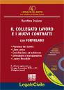 STAIANO ROCCHINA, Il collegato lavoro e i nuovi contratti