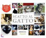 Corriere.it, scatto al gatto