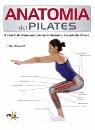 immagine di Anatomuia del pilates