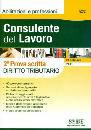 SCRIBANI REMO /ED, Consulente del lavoro 2 prova scritta