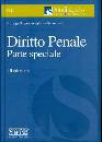 DELPINO LUIGI, Diritto penale parte speciale