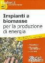 PAGNONI GIAN ANDREA, Impianti a biomasse per la produzione di energia