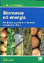 CASTELLI SILVANA, Biomasse ed energia