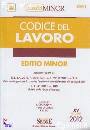 SIMONE, CODICE DEL LAVORO  (edizione minor)