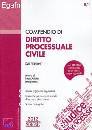 ARIOLA LUCA /ED, Compendio di Diritto Processuale Civile