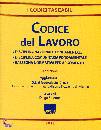 MAGGIOLI EDITORE, codice del lavoro