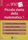 ALPHA TEST, Piccola storia della matematica