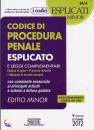 PTRUCCI - RUMORE, Codice di procedura penale esplicato