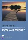 MORIN EDGAR, dove va il mondo?