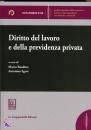 BAUDINO - SGROI, Diritto del lavoro e della previdenza privata