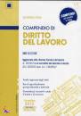 RIVA SEVERINO, Compendio di diritto del lavoro