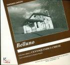 immagine di Belluno - Uno sguardo a Centoquindici Chiese