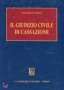 RICCI GIAN FRANCO, Il Giudizio Civile di Cassazione