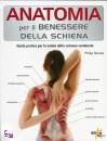 immagine di anatomia per il benessere della schiena