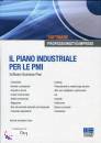 MAGGIOLI, Il piano industriale per le PMI