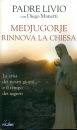 immagine di medjugorje rinnova la chiesa