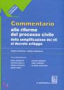 MARTINO PANZAROLA, commentario riforme processo civile