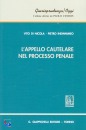 DI NICOLA INDINNIMEO, appello cautelare nel processo penale