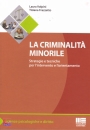 VOLPINI - FRAZZETTO, La criminalit minorile