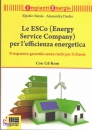 NATALE - DAOLIO, Le Esco (energy service company)