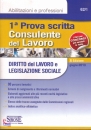 SIMONE, Consulente del lavoro 1 prova scritta