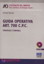 MARVASI CORRADO, Guida operativa art.700 CPC