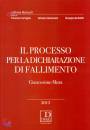 MURA GIANCOSIMO, Il processo per la dichiarazione di fallimento