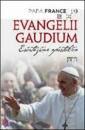 immagine di Evangelii gaudium esortazione apostolica