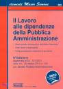 SIMONE, Il lavoro alle dipendenze della P. Amministrazione