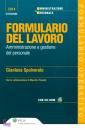 SPOLVERATO GIANLUCA, Formulario del lavoro