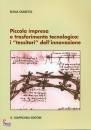 GIARETTA ELENA, Piccola impresa e trasferimento tecnologico