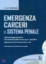 DELLA BELLA ANGELA, Emergenza carceri e sistema penale