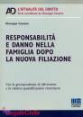 Cassano Giuseppe, Responsabilit e danno nella famiglia  dopo ...