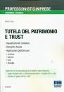 CURZIO STEFANO, Tutela del patrimonio e trust