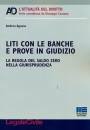 AGNESE ANDREA, Liti con le banche e prove in giudizio