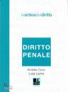 CONZ - LEVITA, Diritto penale