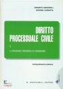 immagine di Diritto processuale civile Vol.2