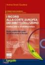 SIROTTI GAUDENZI A., I ricorsi alla corte europea dei diritti dell